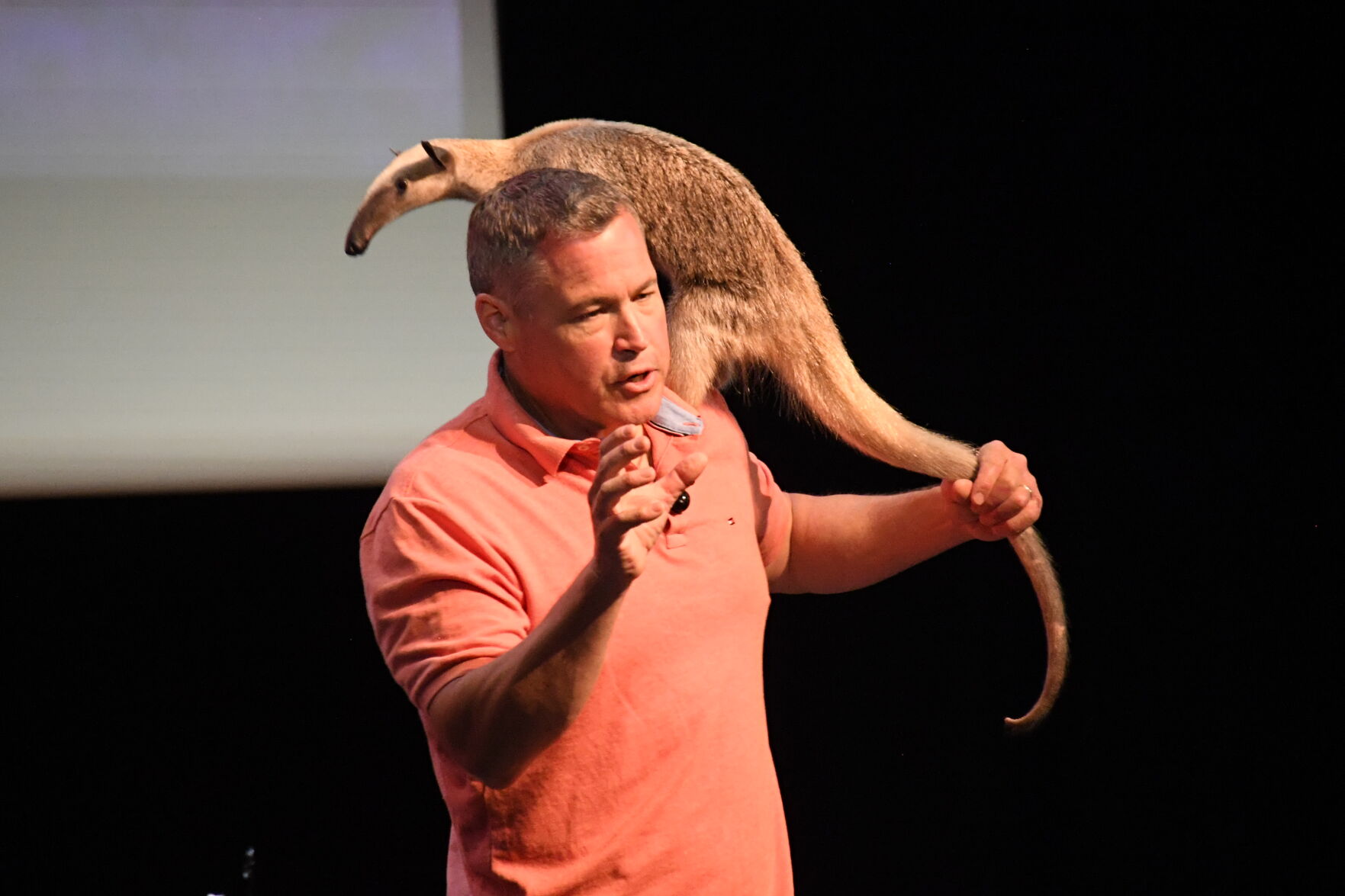 Jeff Corwin